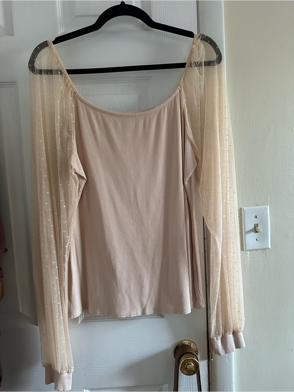 Oris Blush Sheer Dotted Long Sleeve Off-Shoulder Top